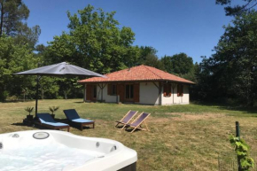 Spa et détente au cœur de la forêt des Landes